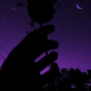 Meet your Posher, Layla